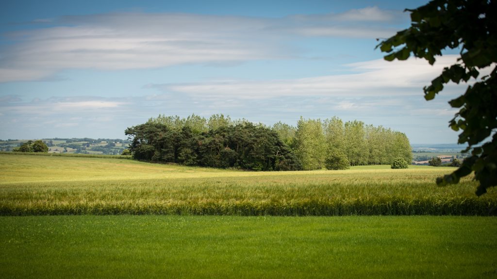 The stunning view over rolling Cotswold countryside