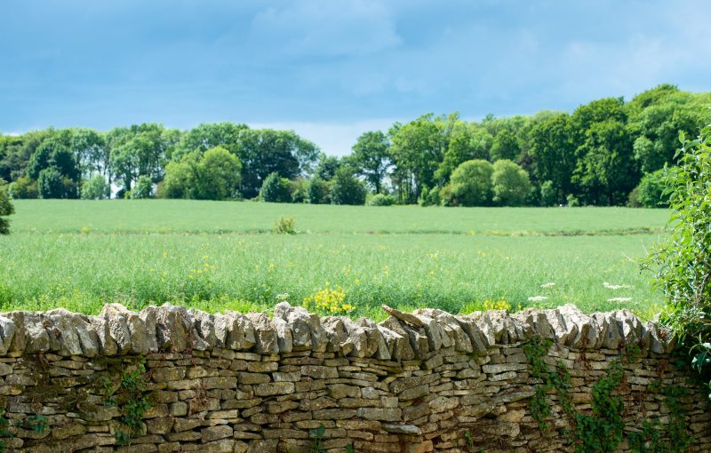 View over a Cotswold stone in to fields around the wedding venue